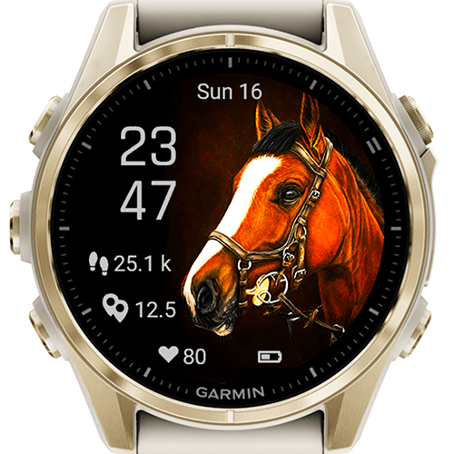 Horse Selfie Majesty G · Screenshot 1