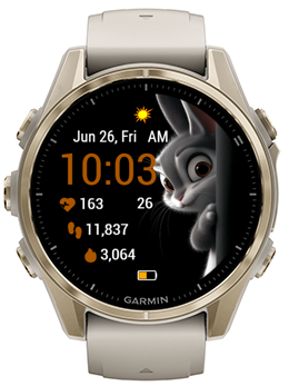 Peek Rabbit · Screenshot 0