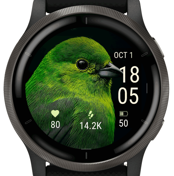 green bird · Screenshot 3