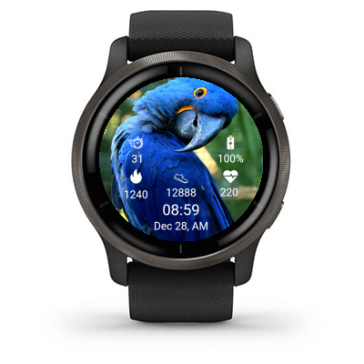 Hyacinth macaw · Screenshot 1