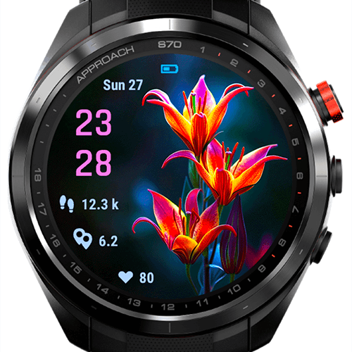 Twilight Fire Flower G · Screenshot 3