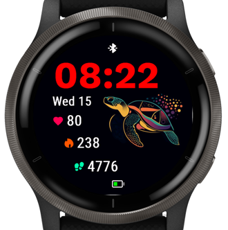Groovy Turtle · Screenshot 0