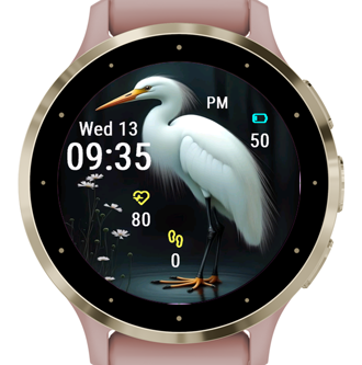 White Egret · Screenshot 1
