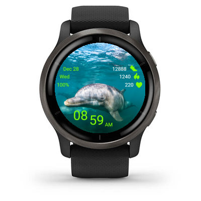 Dolphin 03 · Screenshot 1