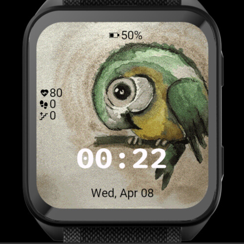 Little Parrot 3