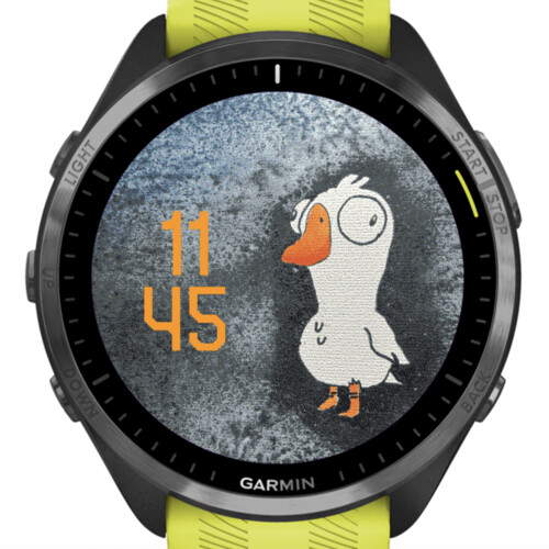 Confused Duck – Minimalist Cartoon Watch Face · Screenshot 0