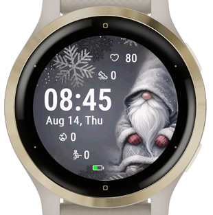 Snowy Gnome · Screenshot 1