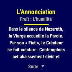 Rosary - Prayer & Mysteries · Screenshot 2
