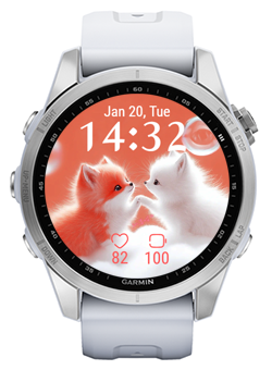 Two Foxes · Screenshot 2