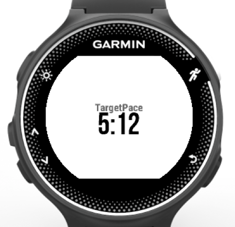 Garmin 日本 美品使用回数5回未満 日本語表記ガーミン GPSMA923 Garmin