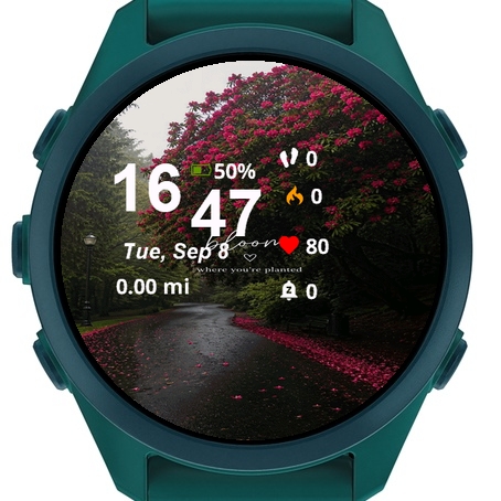 View Road Covered Pink Flowers · Screenshot 2