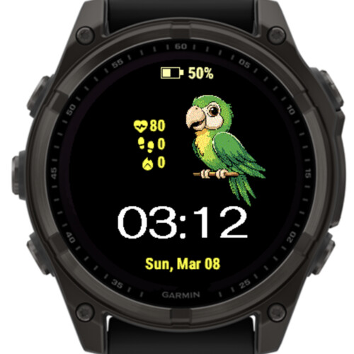Green Parrot 5