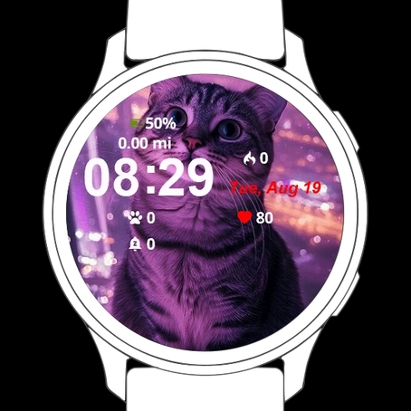 Cute Little Cat · Screenshot 0