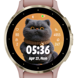 Cat 4