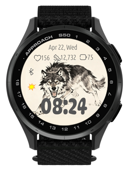 Iron Wolf 2