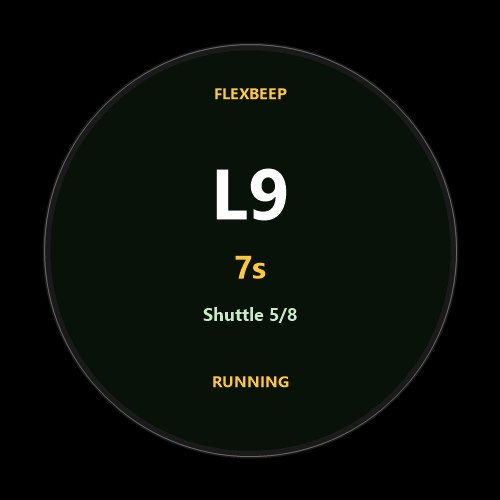 FlexBeep - Beep / Shuttle Test · Screenshot 2