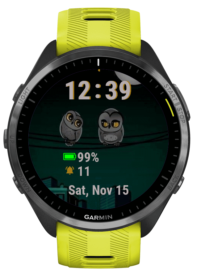 OWLS IN LOVE · Screenshot 0