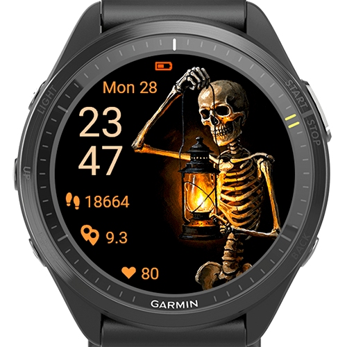 Halloween Skeleton Lantern G · Screenshot 1