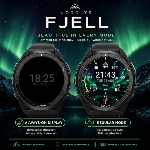 Nordlys Fjell · Screenshot 4