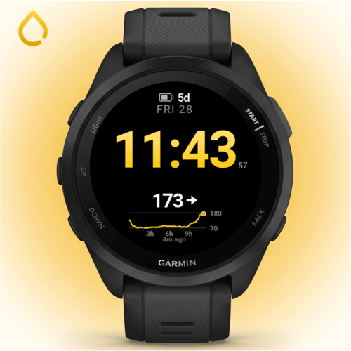 GGlance - CGM WatchFace Libre Dexcom · Screenshot 2
