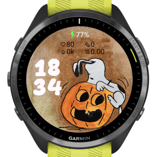 Pumpkin Dog · Screenshot 2