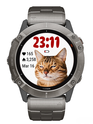 Funny cat · Screenshot 1