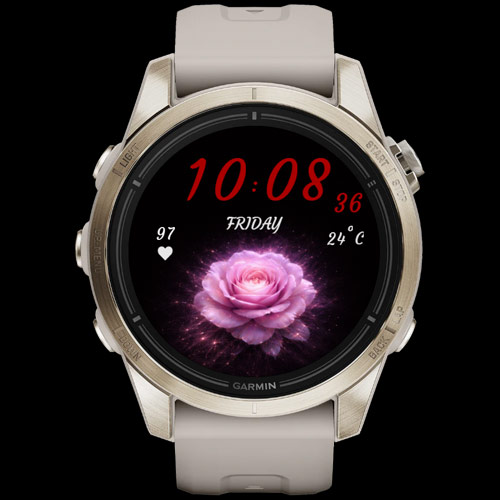 Velvet Rose (Your Data. Your Style) 6