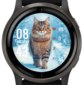 Beautiful Cat · Screenshot 2