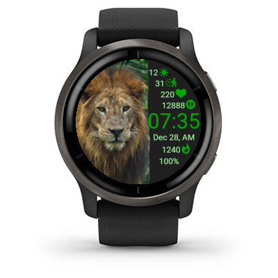 Lion In Flow · Screenshot 2