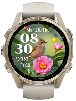 Flowers Birds · Screenshot 0