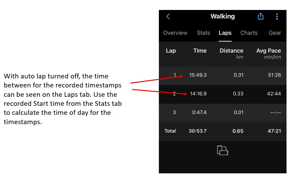 Timestamp · Screenshot 2