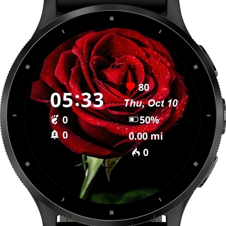 Wet rose · Screenshot 0