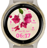Bougainvillea · Screenshot 2