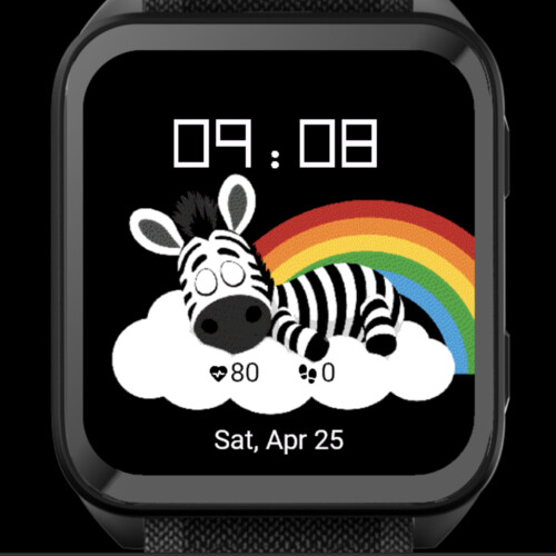 Dreamy Zebra Rainbow 3