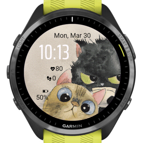 Cat Duo 4