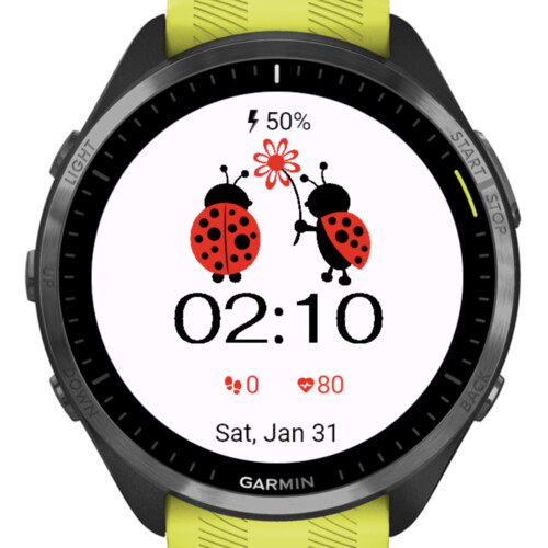Cute Ladybugs Night 2
