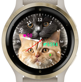 Cats · Screenshot 0