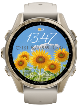 Sunflower Garden · Screenshot 3