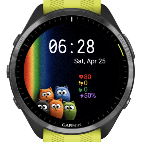 Rainbow Curious Cats 4
