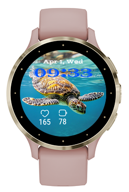 Big Turtle · Screenshot 1