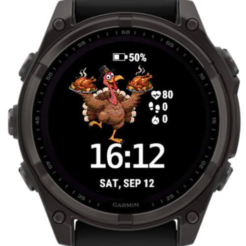 Thanksgiving Turkey · Screenshot 3