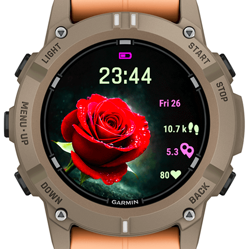 Valentine Rose Eclipse G · Screenshot 1