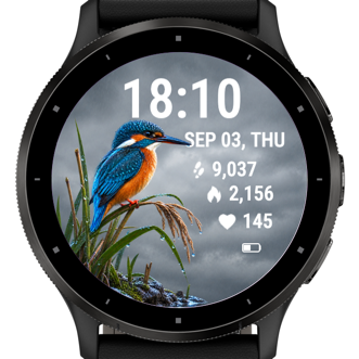 Rainbank Kingfisher · Screenshot 3