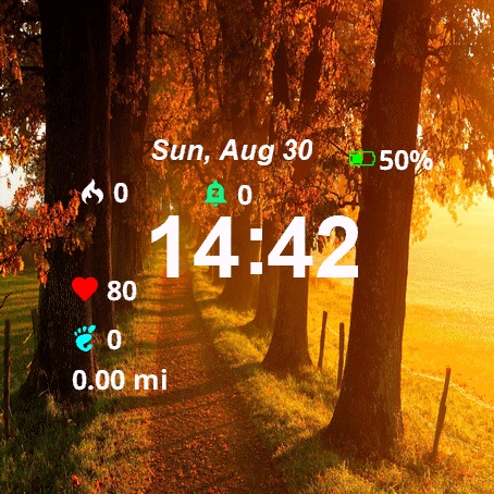 View Sun Shining Through Trees · Screenshot 1