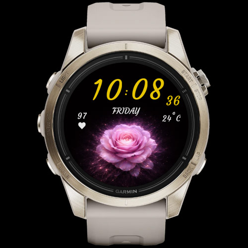 Velvet Rose (Your Data. Your Style) 4