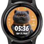 Cat 5