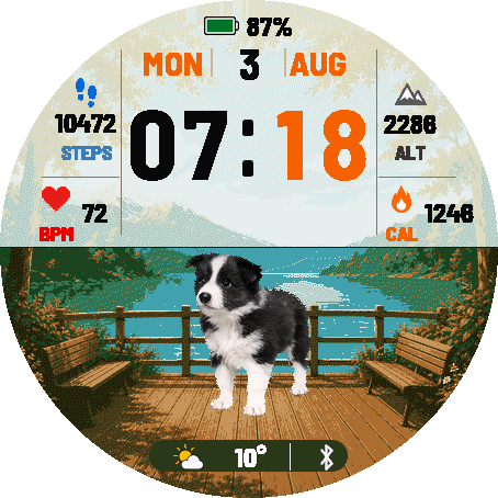 Border Collie · Screenshot 4