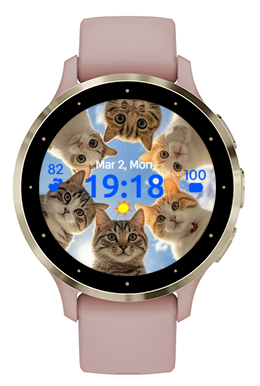 Six Cats · Screenshot 1