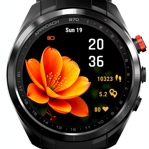 Golden Flower G · Screenshot 4