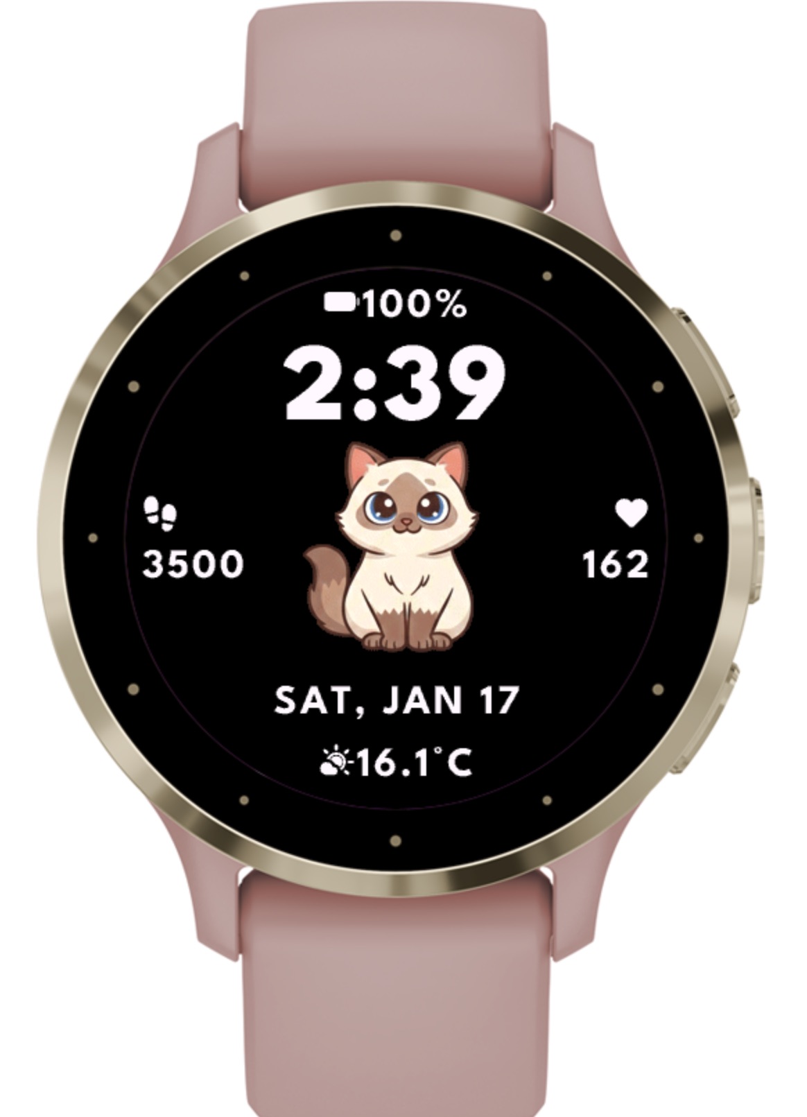 Ragdoll Cat (8 IN 1) - Kpay · Screenshot 0